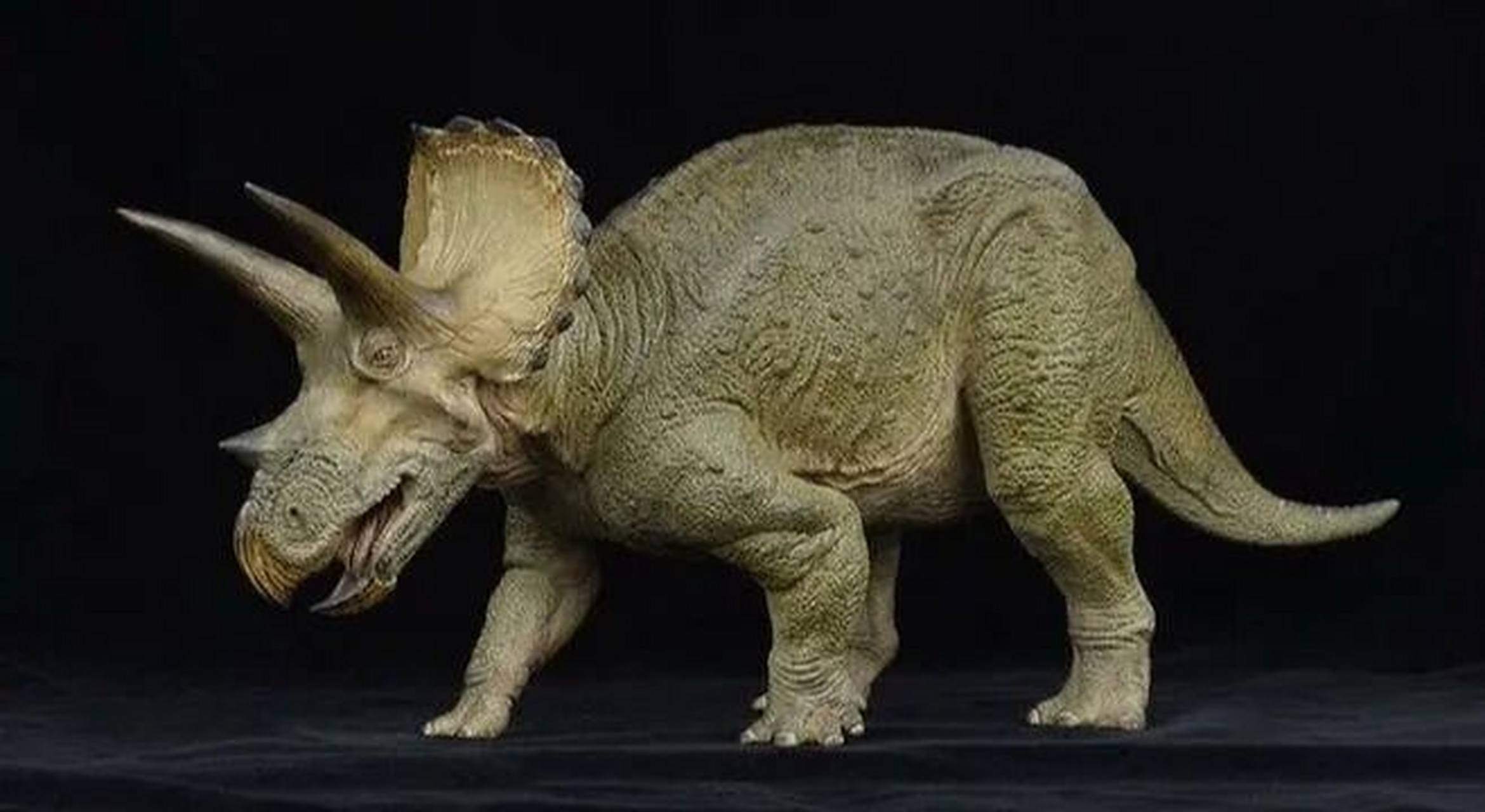 三角龙简介 三角龙(属名:triceratops)鸟臀目角龙下目角龙科的草食性