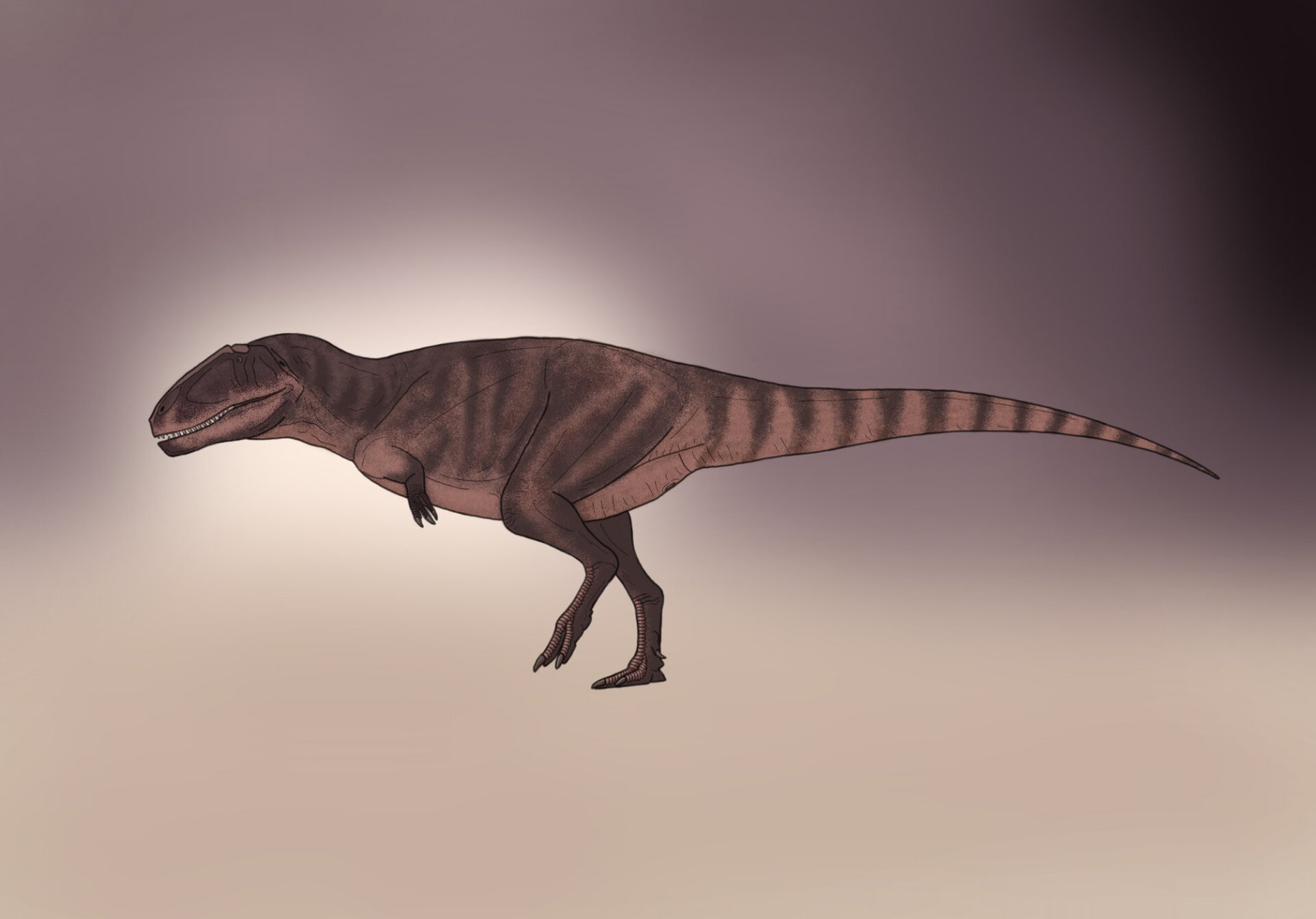 撒哈拉鲨齿龙carcharodontosaurussaharicus 以dan folkes今年做的