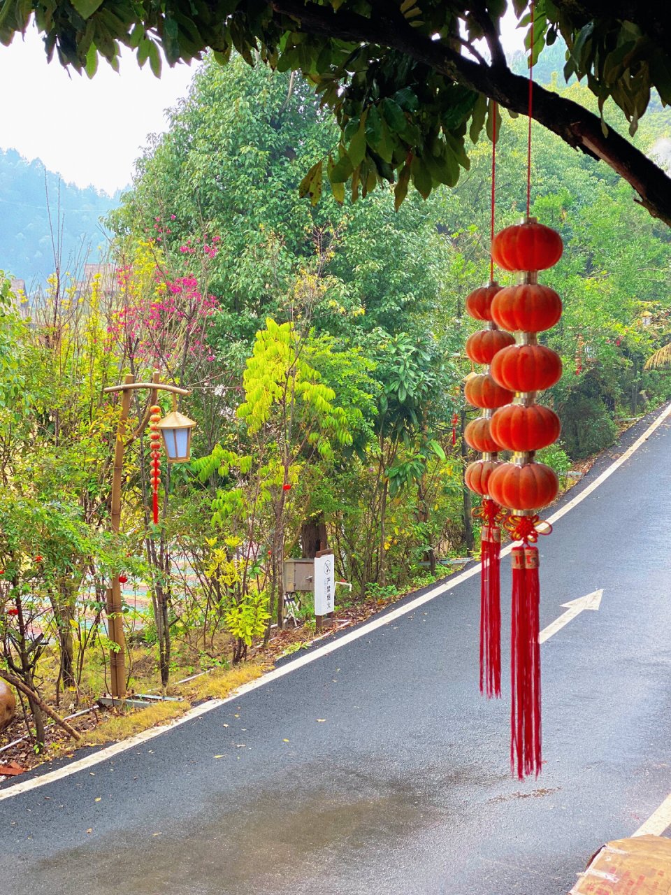 梅州的最后一站 来到了兴宁市叶塘镇的逍遥谷 来的路上还途径了几家