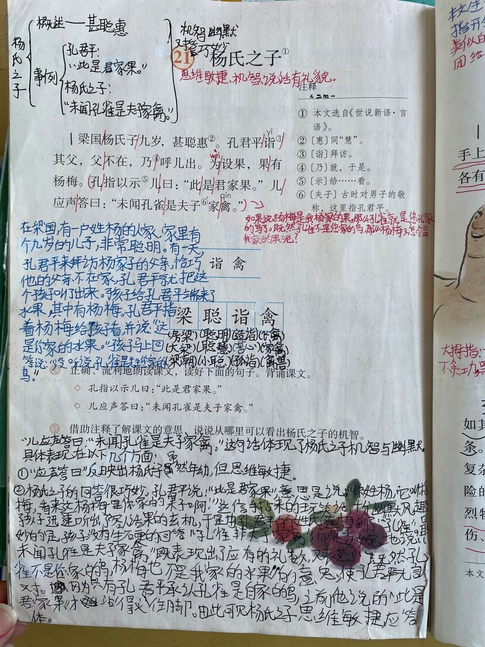 五下语文第21课《杨氏之子》课堂笔记