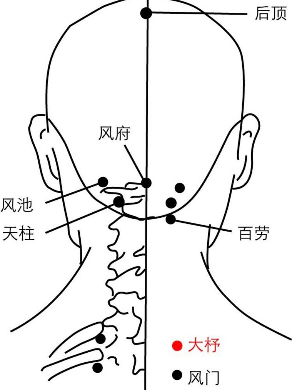 每日一穴～大杼穴:祛风解表,宣肃肺气 大杼为经穴名.