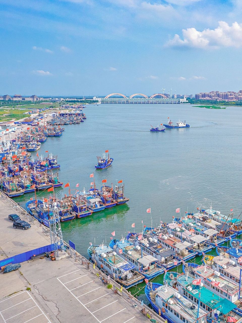 天津北塘海鲜|这里的海鲜最肥美! 94hello,大家好,这里是橘子妈妈.