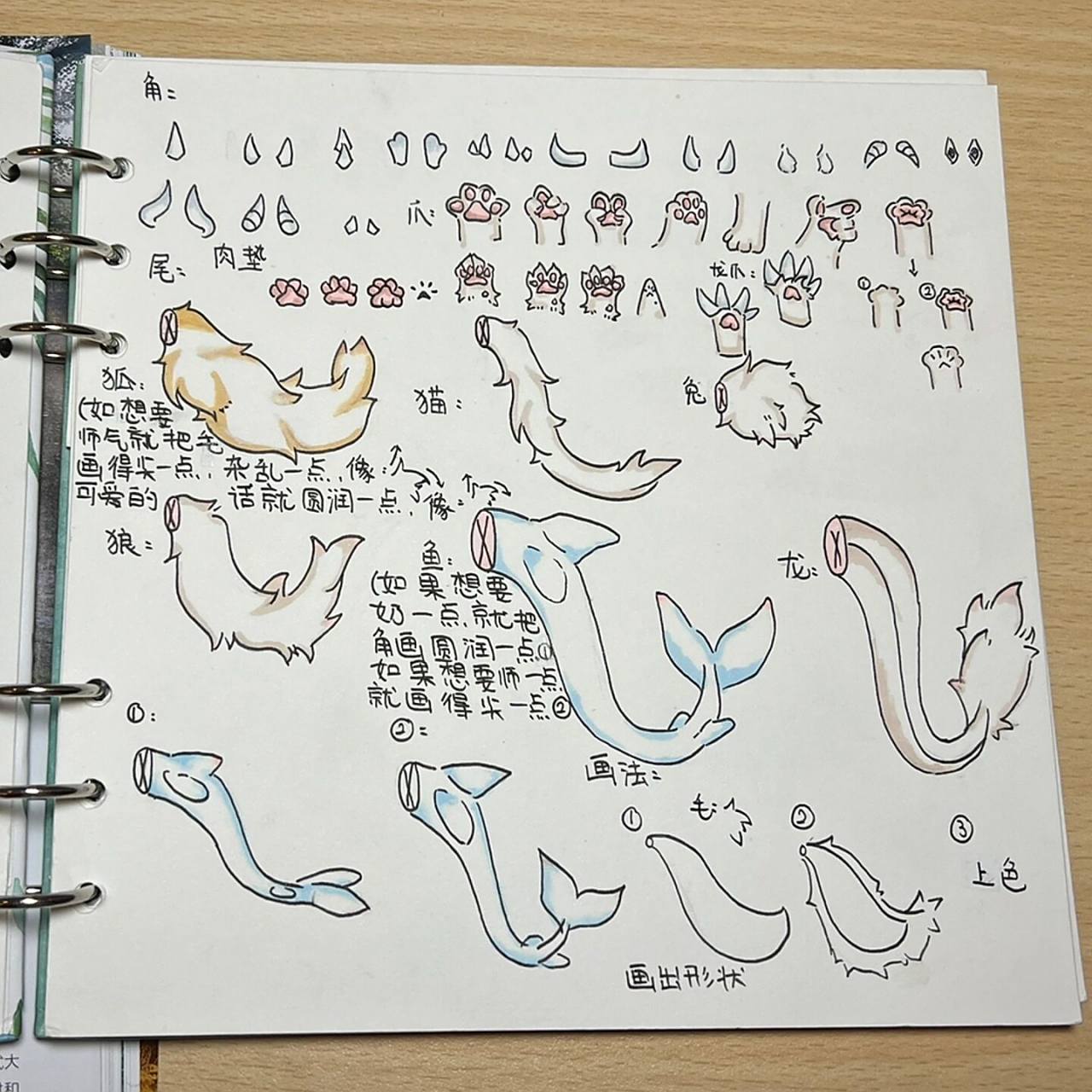 今日兽设素材之角和尾巴 如果看到网上有人和我这个画的很像,那应该是