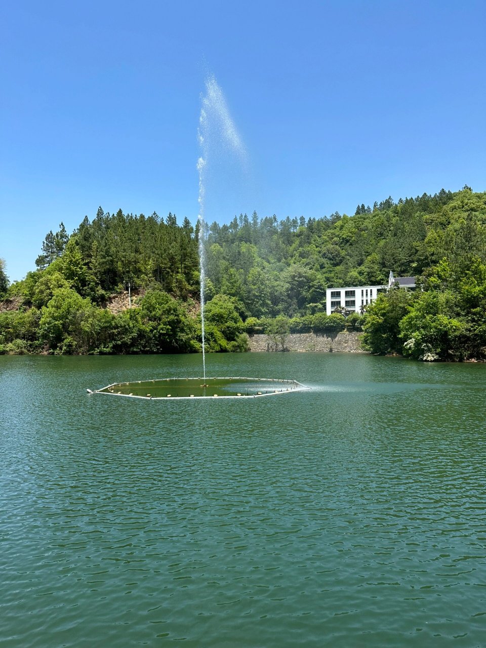 常山不老泉  6.1去的一个人少又安静的好地方!