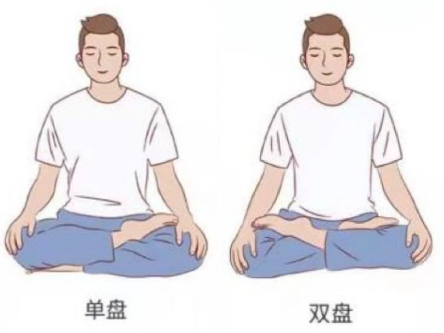 打坐冥想基本坐姿 打坐冥想基本坐姿为单盘或双盘(坐姿见图),不建议散