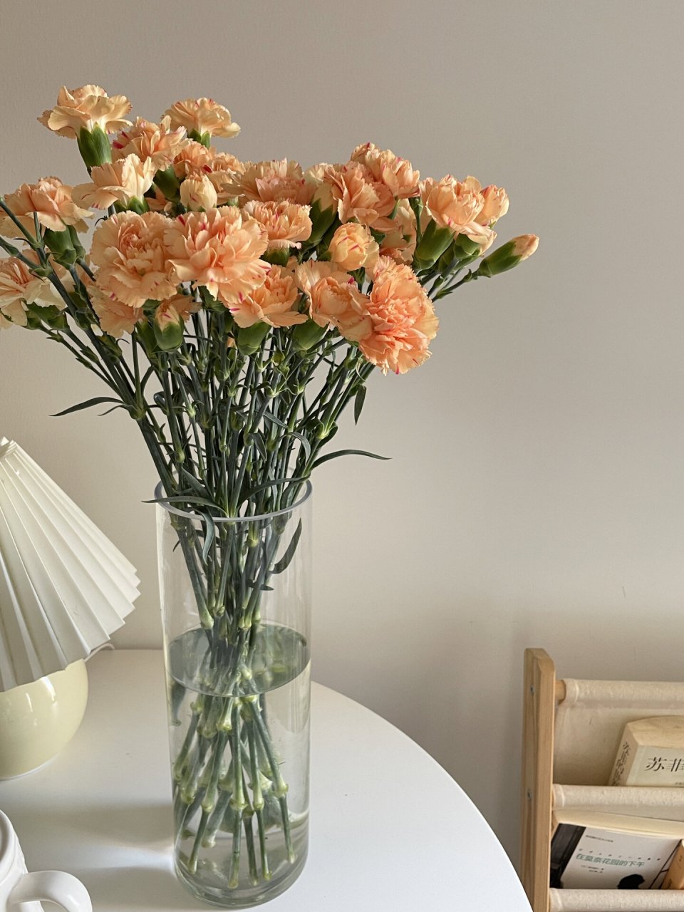 康乃馨根部不烂的秘诀好像是从"关节处"剪,目