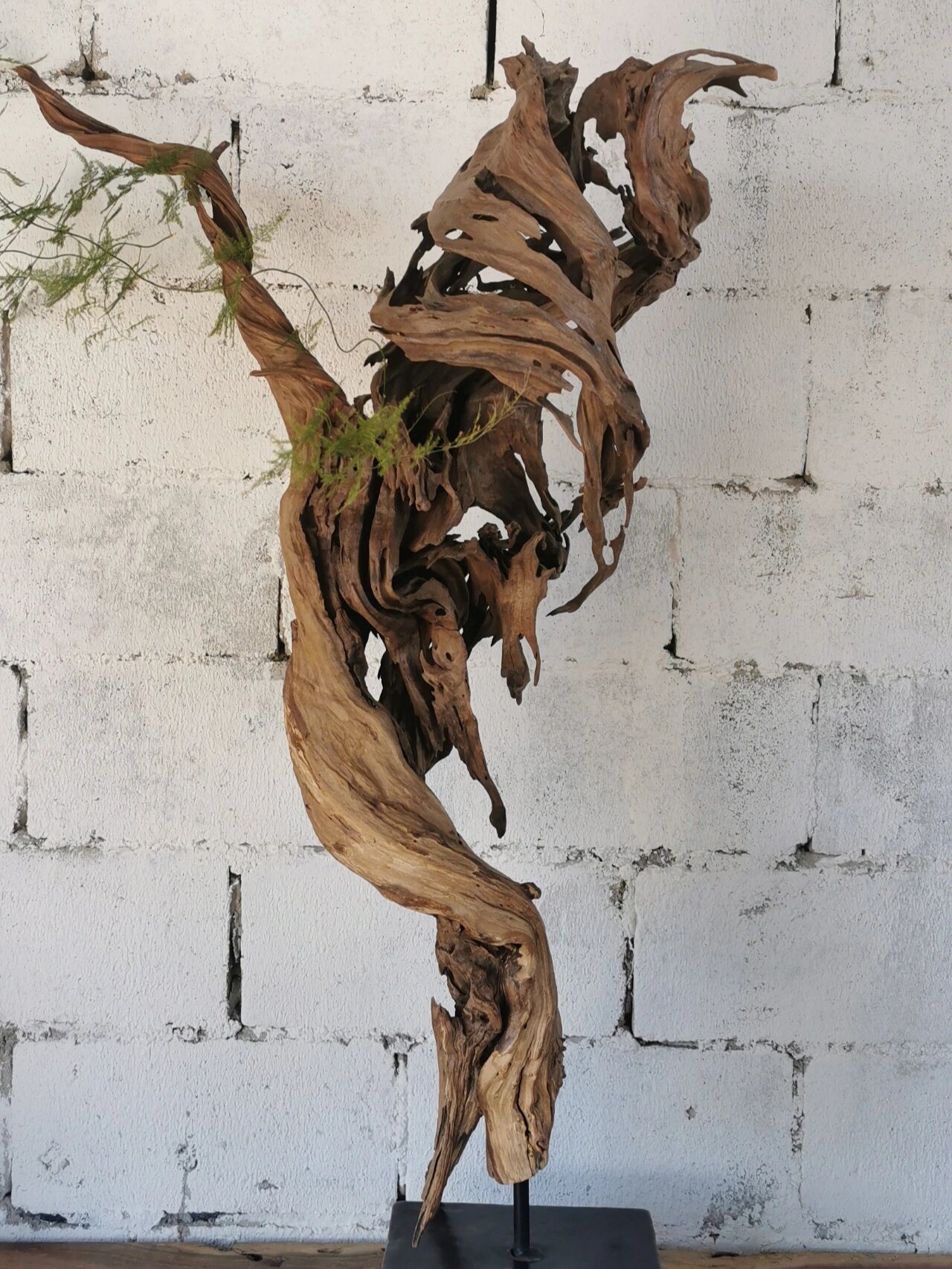 很精品的一个根艺摆件 婀娜,镂空,风化无一不是大自然的杰作.