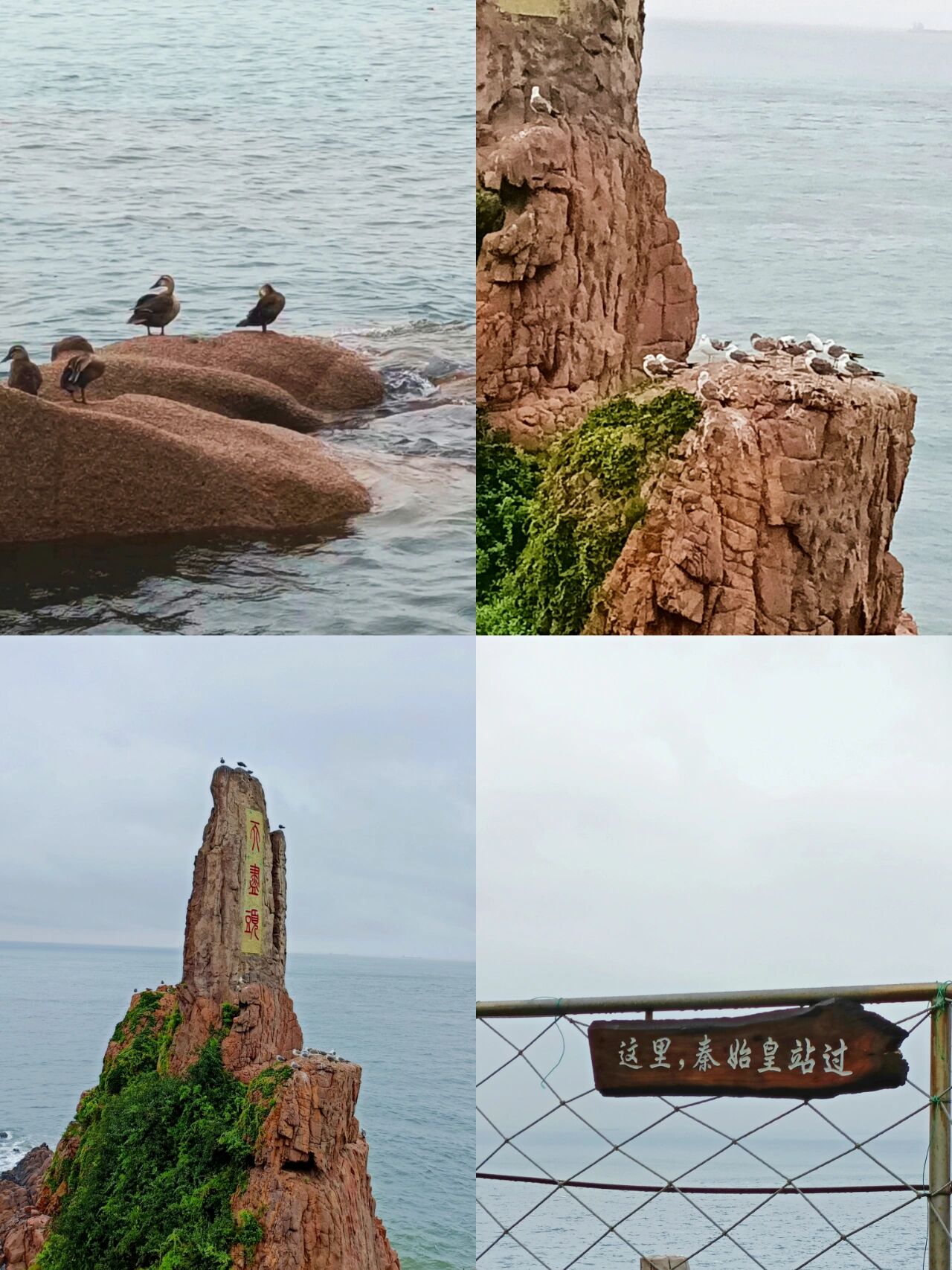 威海成山头风景区票价图片