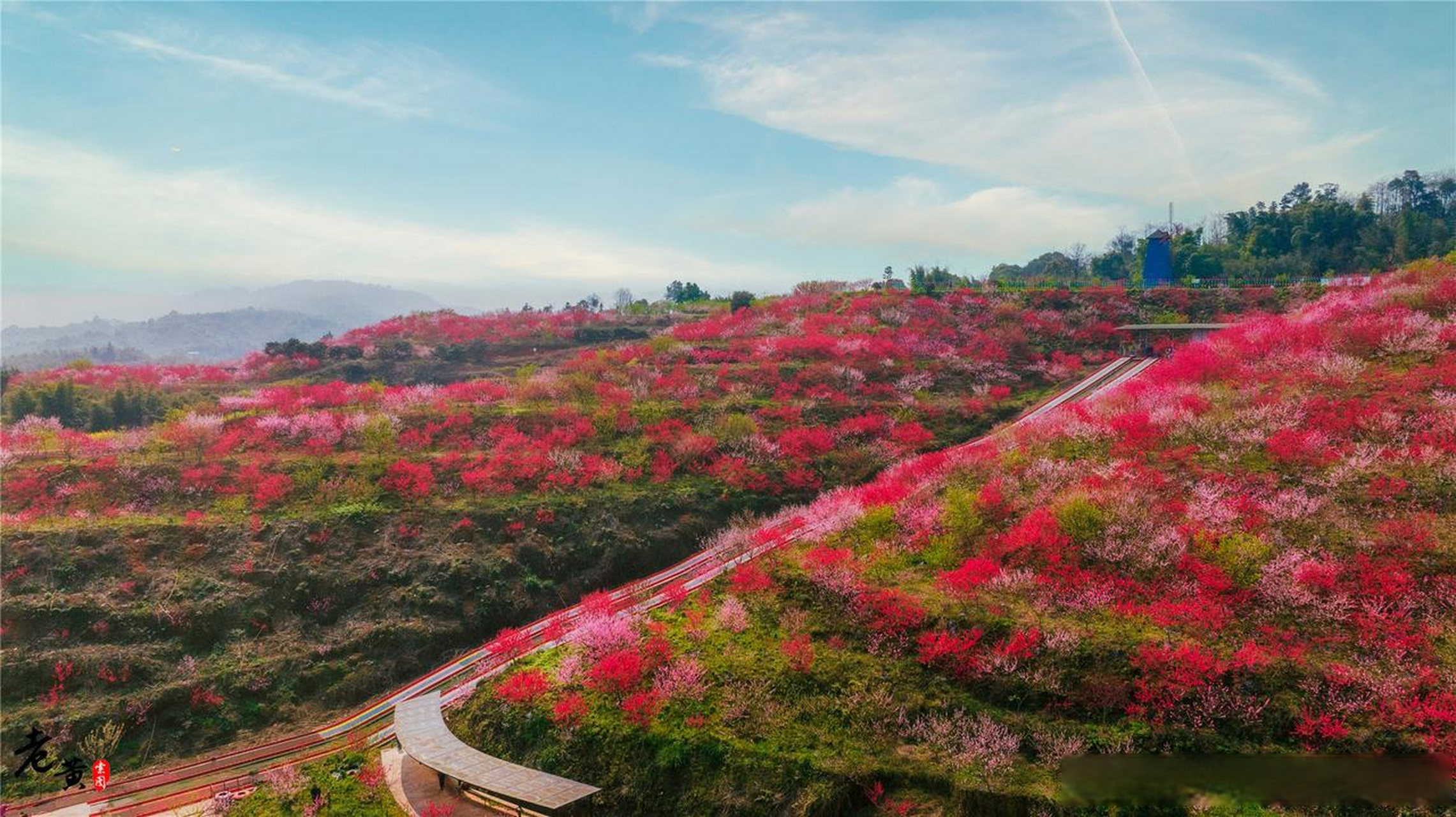 泸州纳溪龙湖水香图片