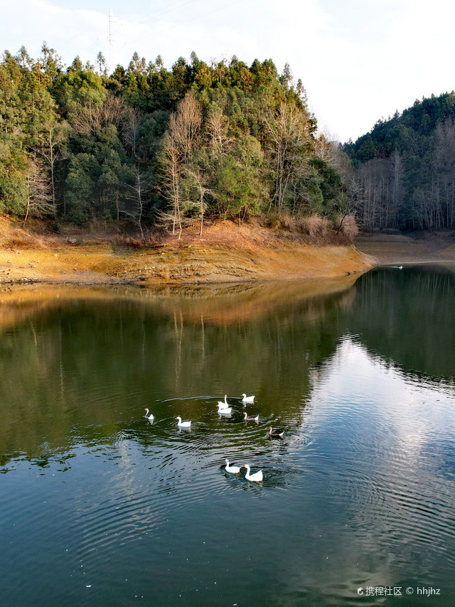 湖中有岛,岛中有湖:千岛湖龙川湾湿地公园