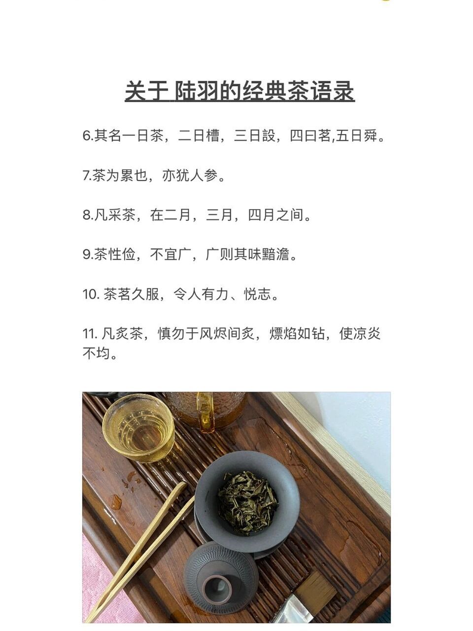 茶者,南方之嘉木也|陆羽经典茶语录! 🍵关于陆羽的经典茶语录🍵 1