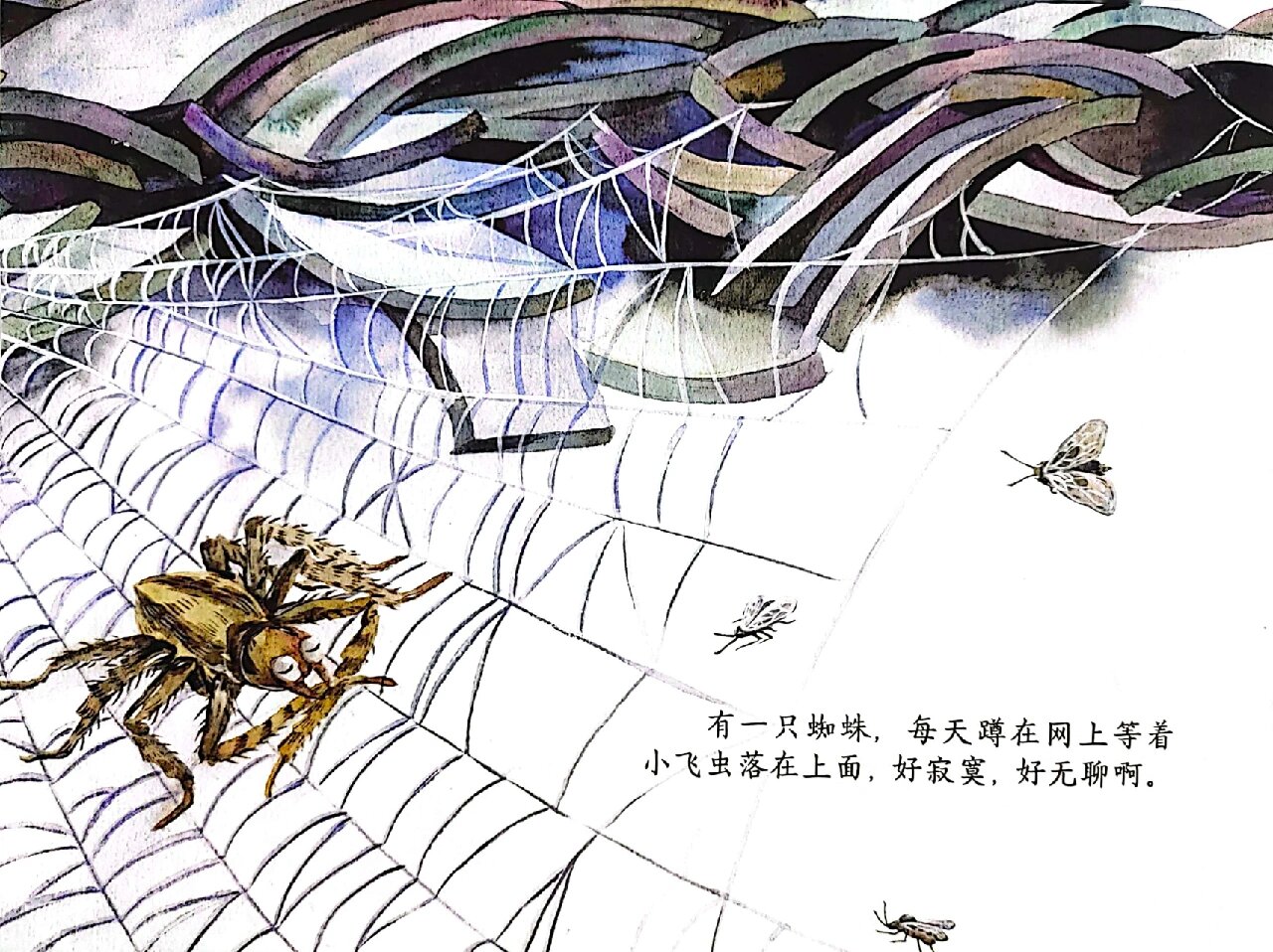 绘本推荐|蜘蛛开店