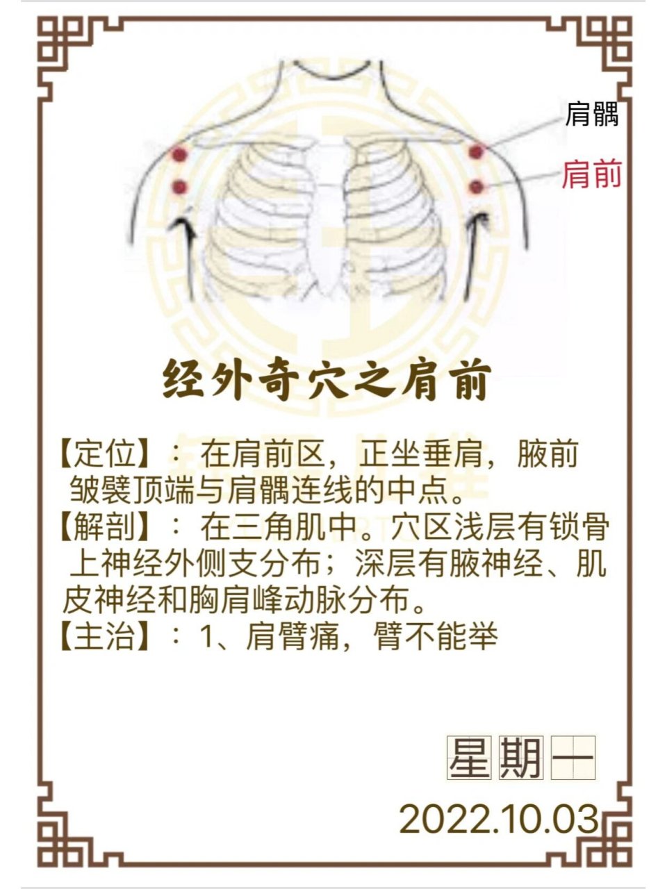 肩膀学位图解大全图片图片