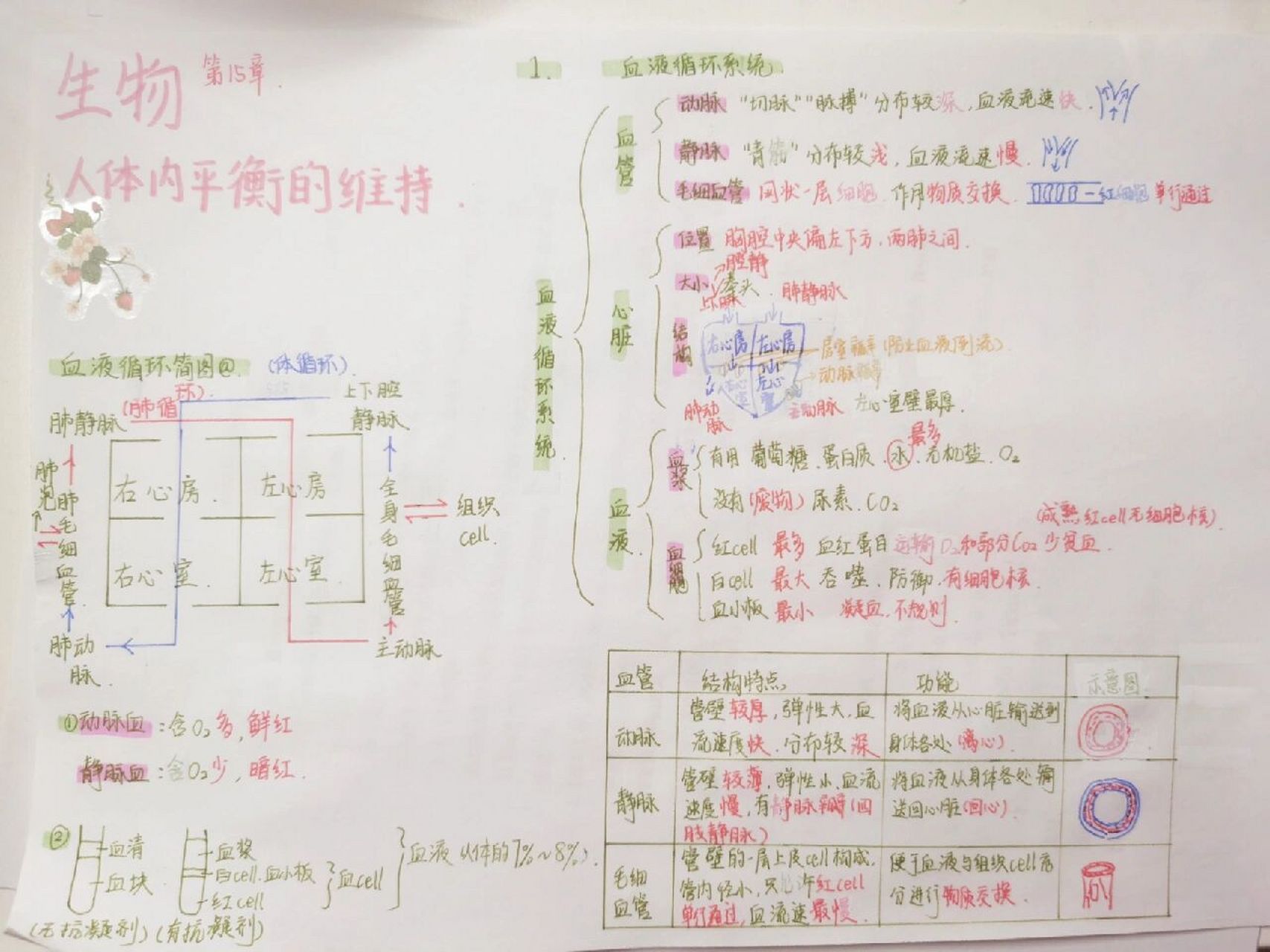 苏教版八上生物第十五章思维导图