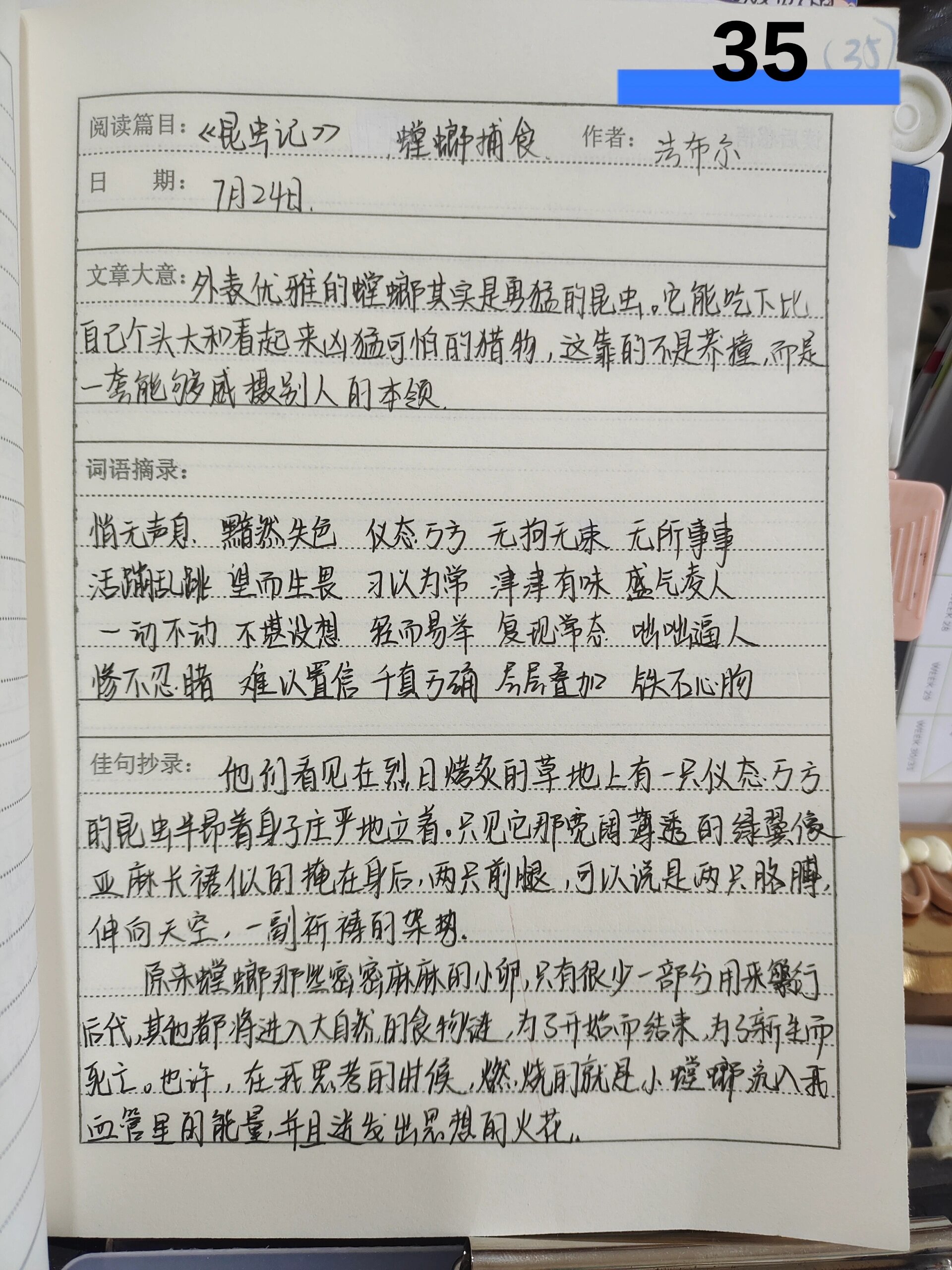 73《昆虫记》93螳螂捕食 读书笔记95@拂晓冥想的动态