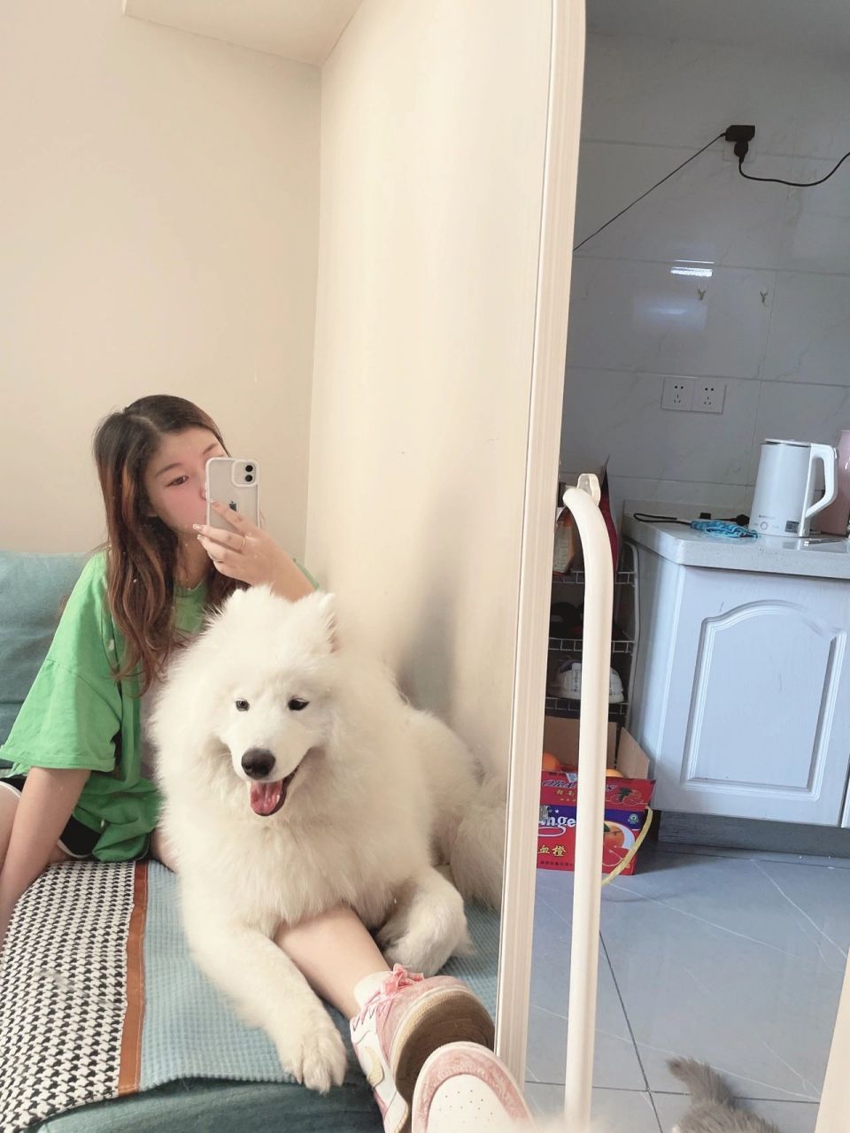 你们的萨摩耶都长多大啊?