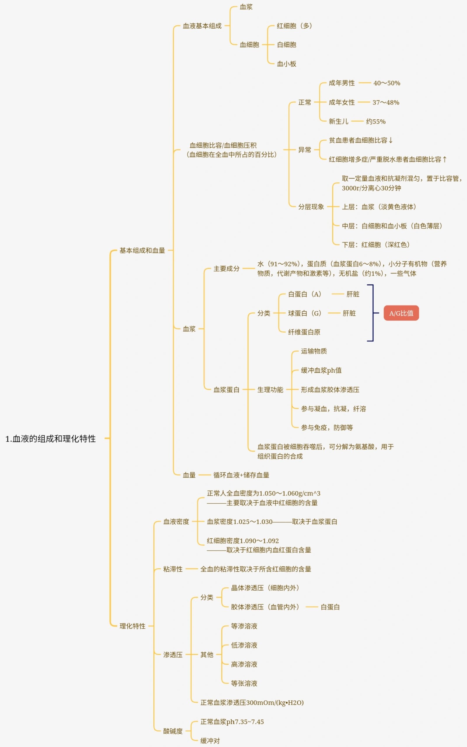 组胚血液的思维导图图片