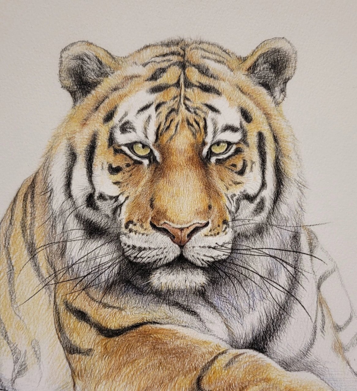 2022虎年画虎,附详细步骤图 91大年初五,画只老虎91 四年没好好动