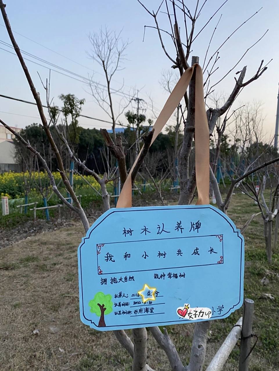 植树节——树木认养牌 就是纸板做的很简单,找出一块纸板画出自己喜欢