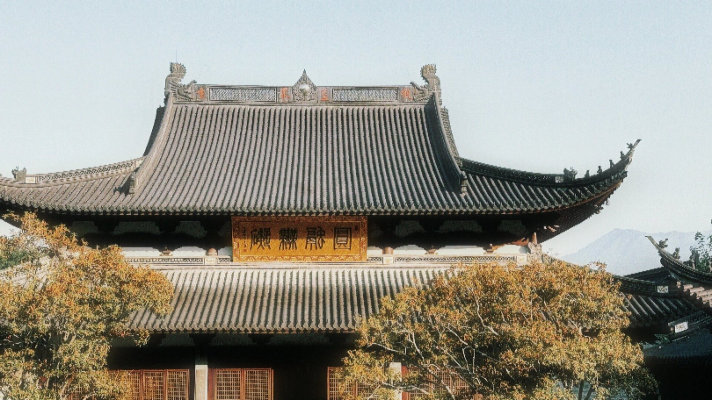 温州最美寺庙丨头陀寺99 享受这一刻的宁静与清香