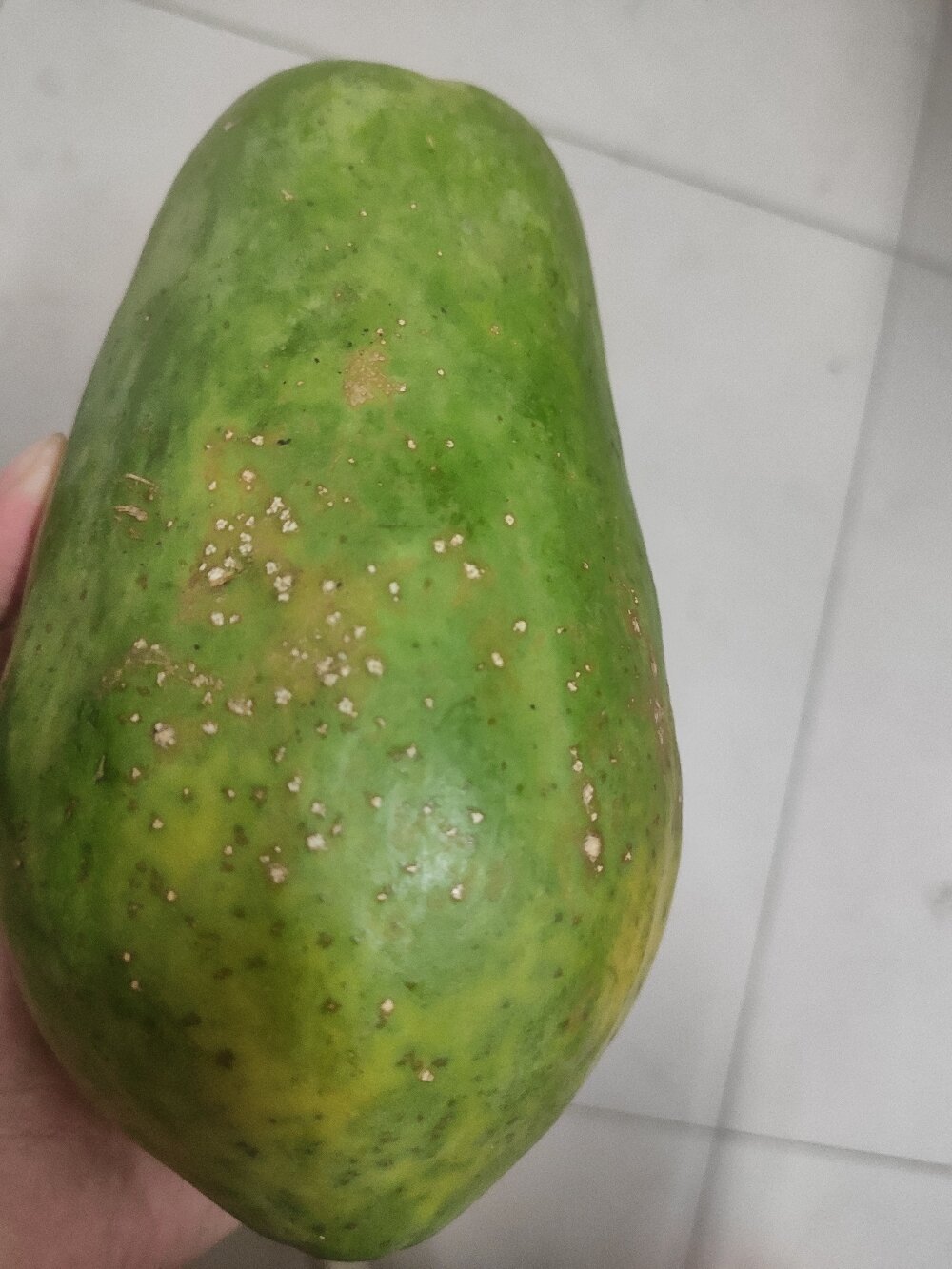 姐妹们看看我的网购木瓜是不是坏了
