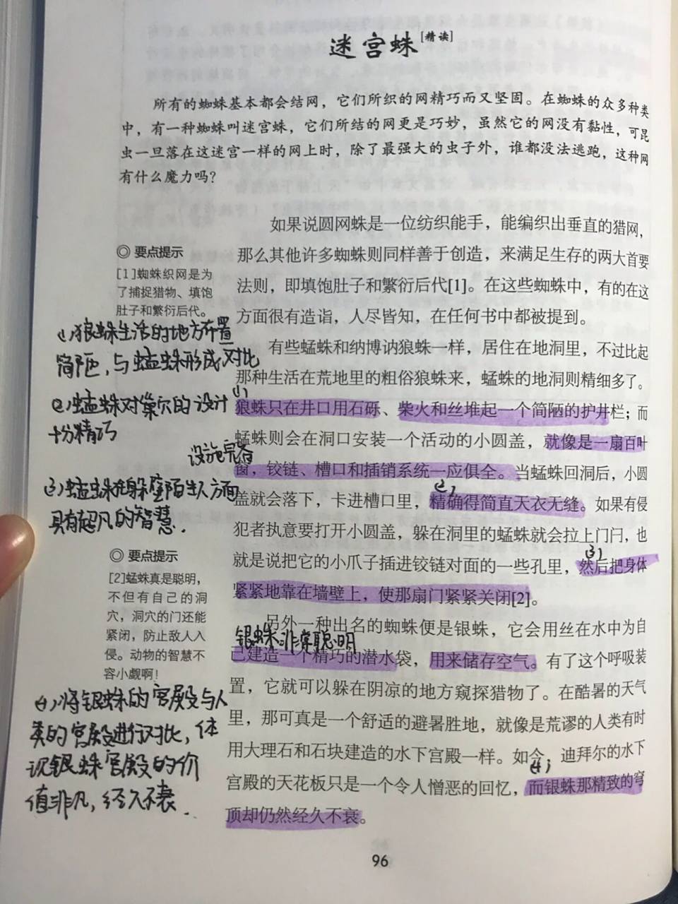 98昆虫记章节批注90 迷宫蛛(上)