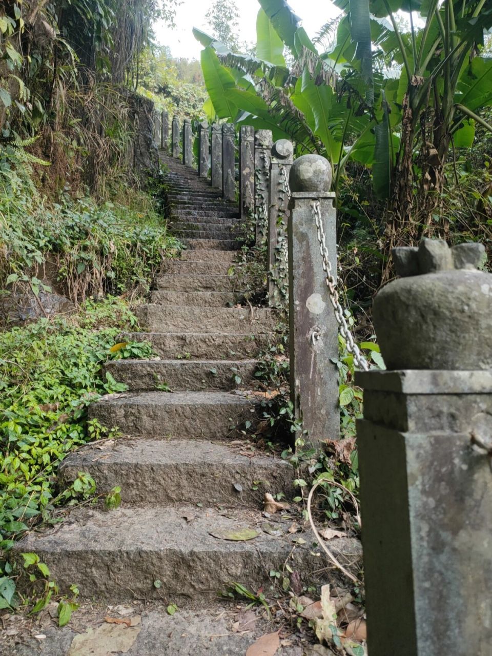 温州平阳周边游 | 腾蛟9015赤岩山风景区 98简介:赤岩山俗名银