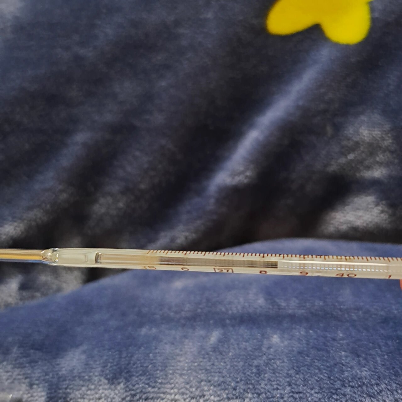 水银体温计放热水里会坏吗 前天有点发烧(医院测的37.