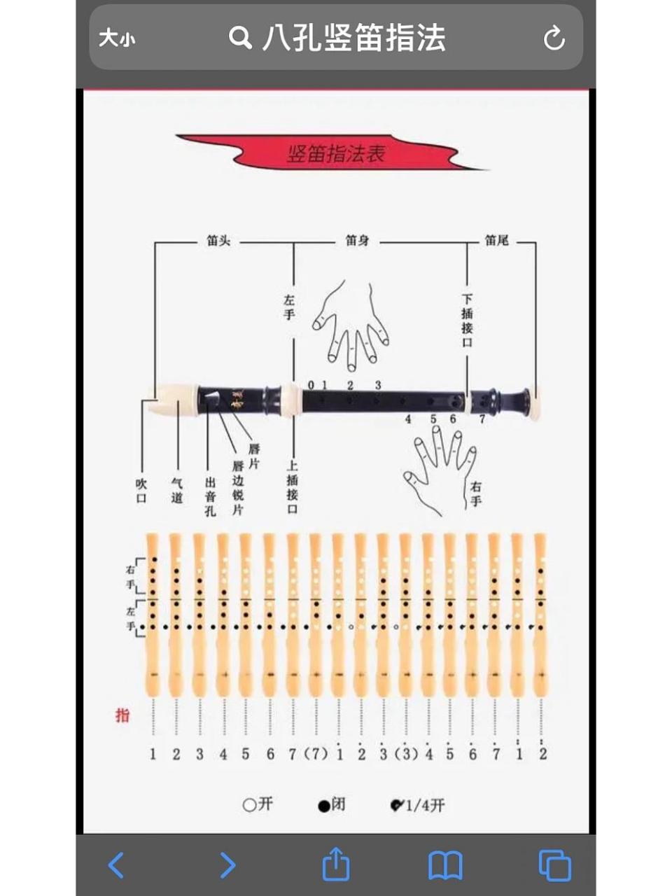 八 孔竖笛指法(有放大) 好好快乐