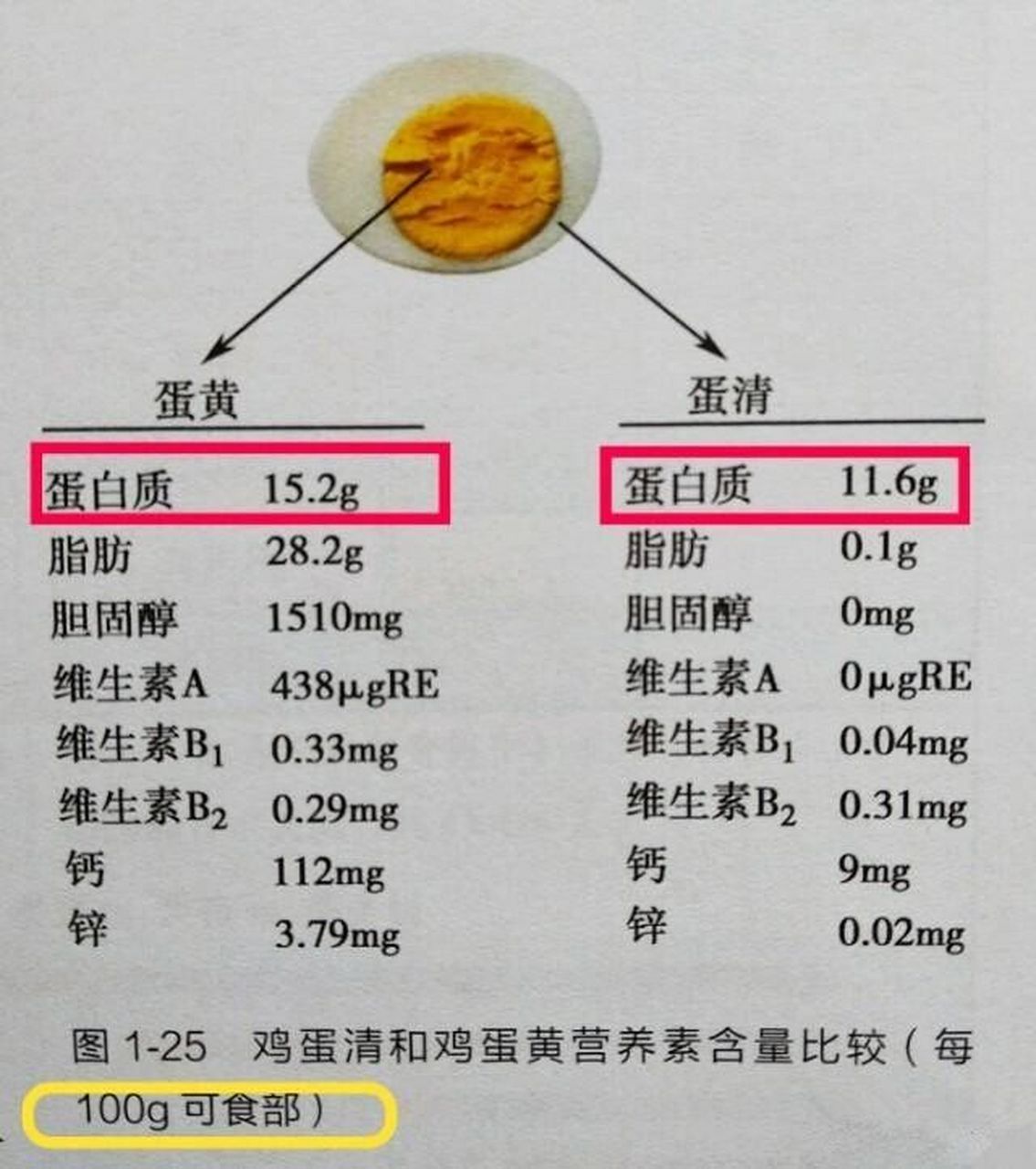 5g 鸡蛋黄的蛋白质含量为15