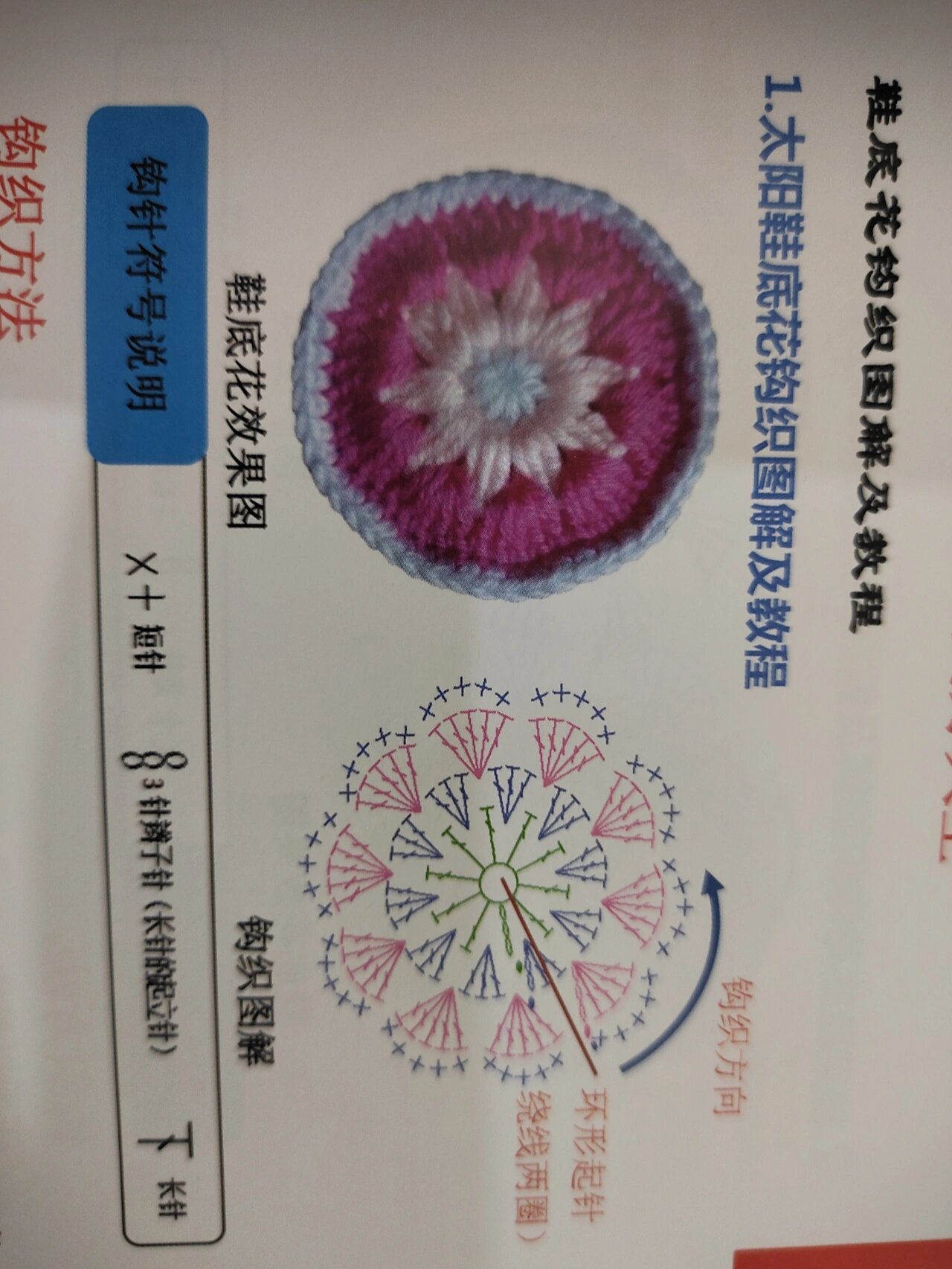 太阳花