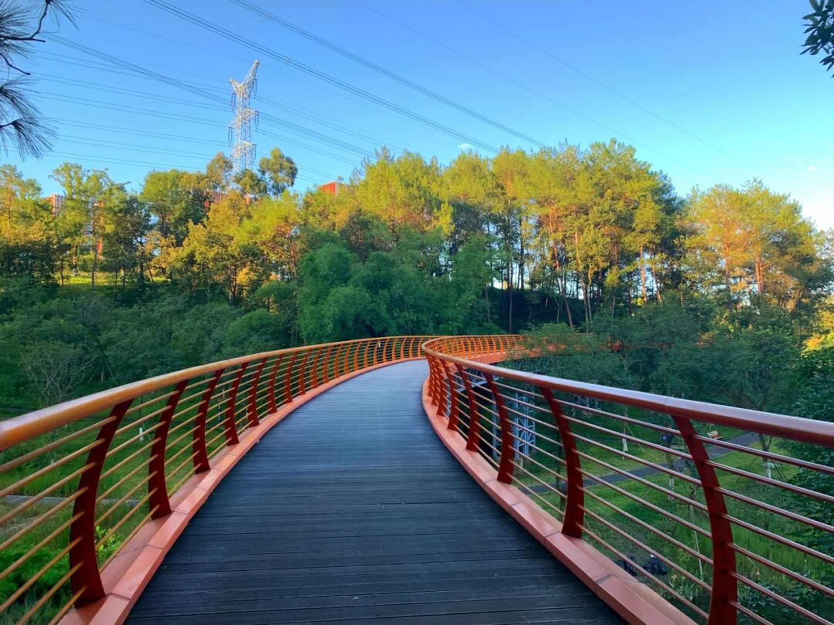 成都周末打卡好去处,永安湖城市森林公园 这里有山有水有小森林,超级