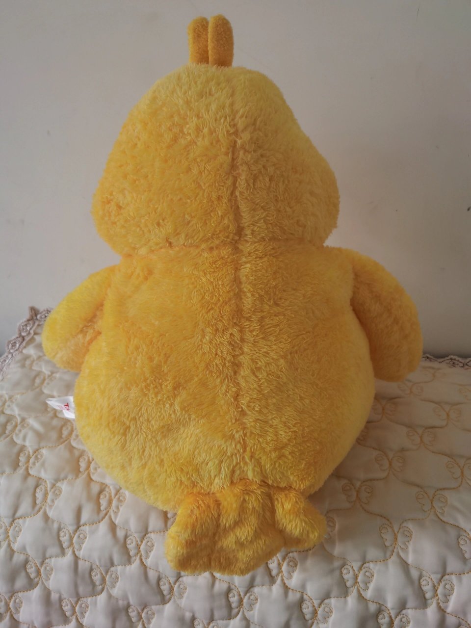 全新日本taito poinko 鹦鹉兄弟 二毛 日本taito poinko 鹦鹉兄弟