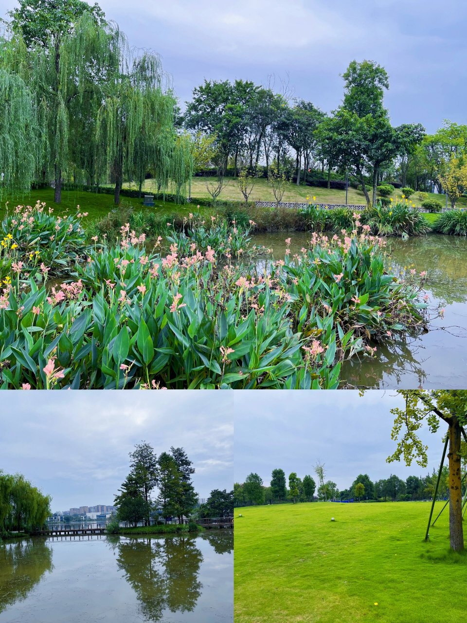 99:凤翔湖市政森林公园 99: 双流区-银河路三段与航鹰西路交汇处