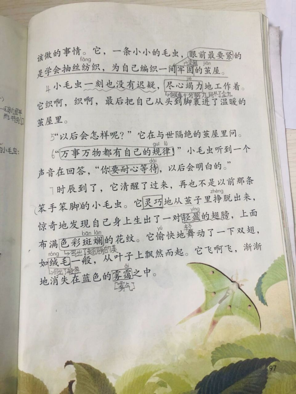 二下语文《小毛虫》学生笔记 #二年级语文# #二年级语文下册# #语文