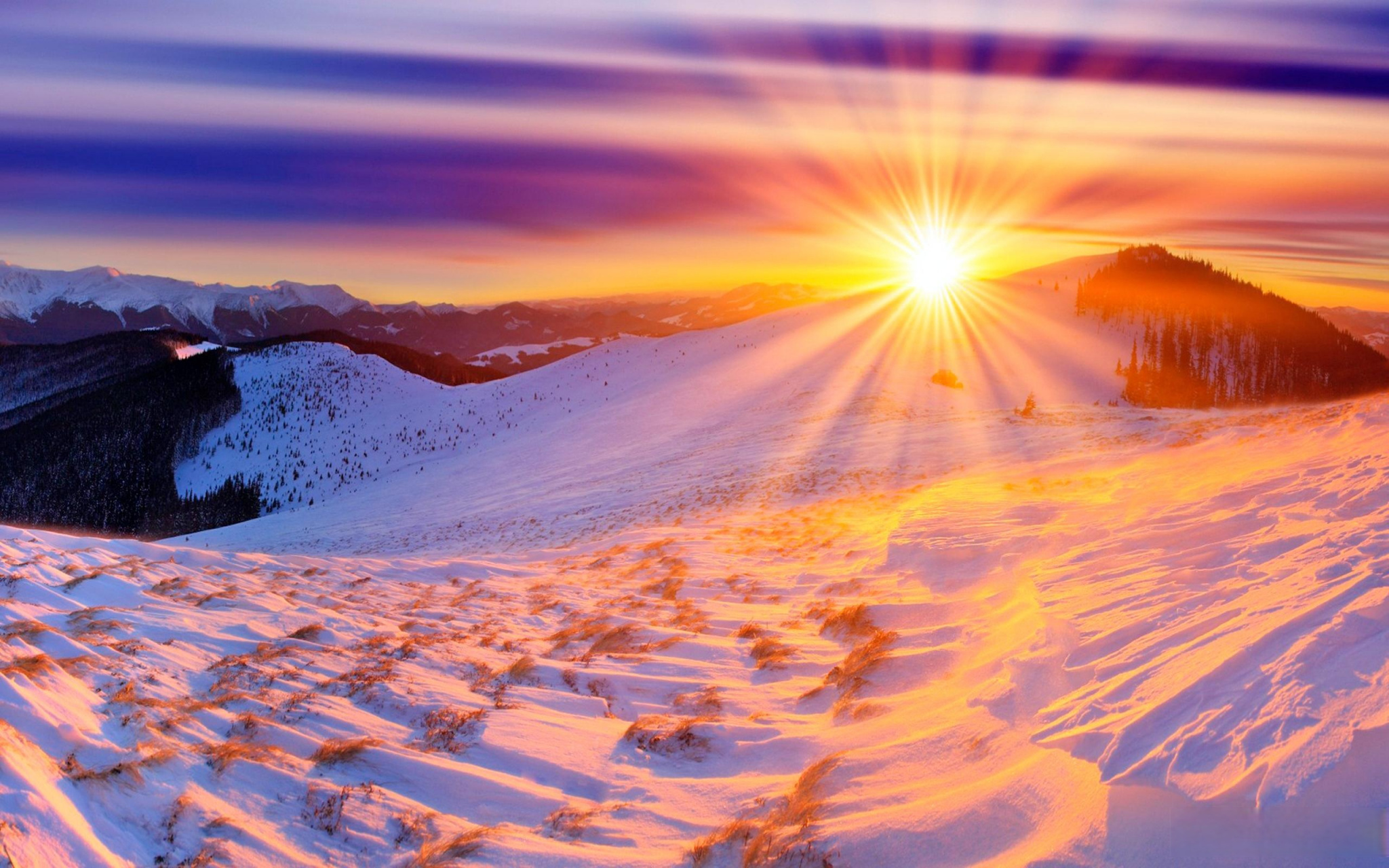 不断暗示自己是什么样的人,持续向外界展示你是什么