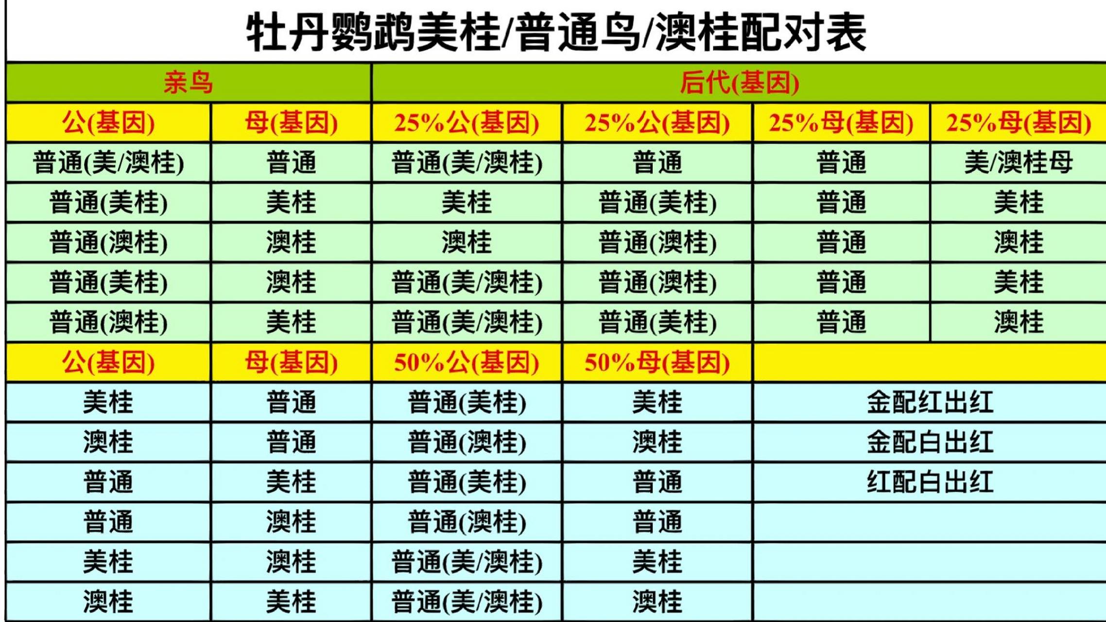 牡丹鹦鹉遗传配对图解图片