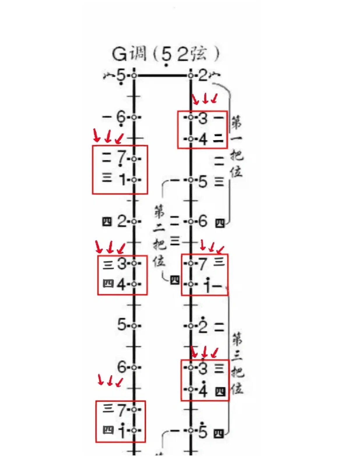 二胡dgf调把位一览
