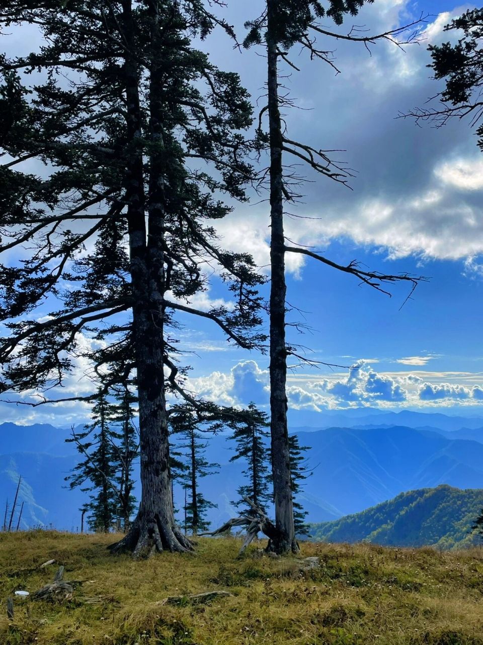 鹿角梁了解一下 走出城市,徒步秦岭 西安人最爱爬得鹿角梁 也算是一个