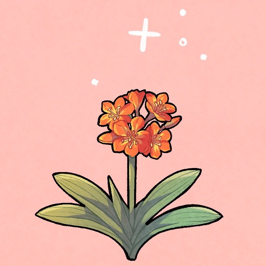 花朵拟人|q版|君子兰 君子兰的q版花朵拟人来啦 78君子兰78花语