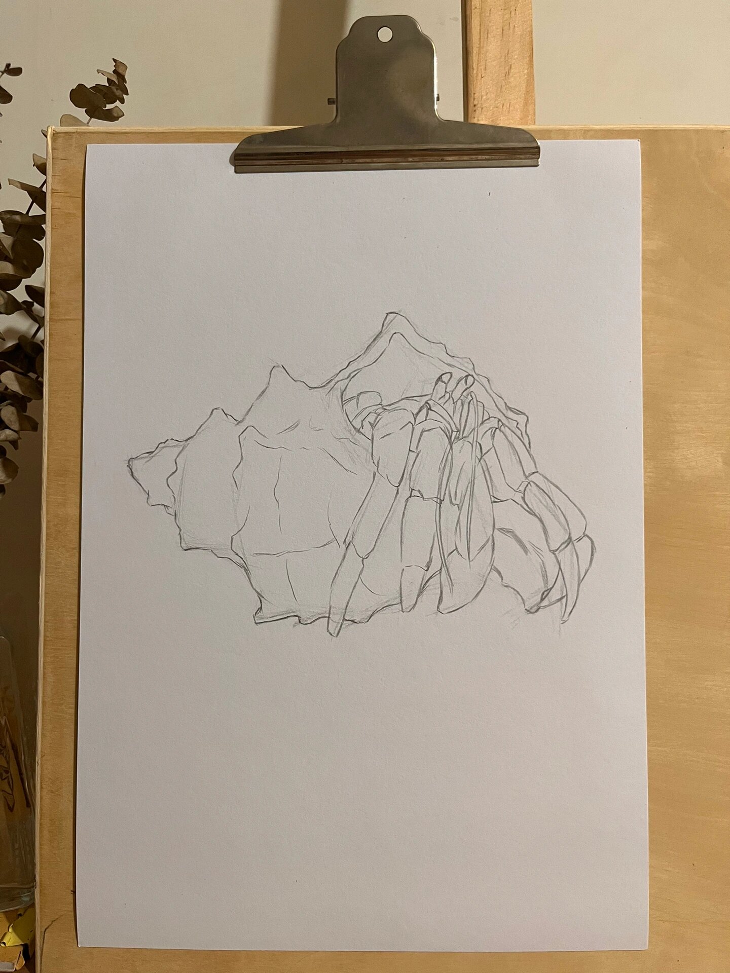 素描.寄居蟹 步骤图