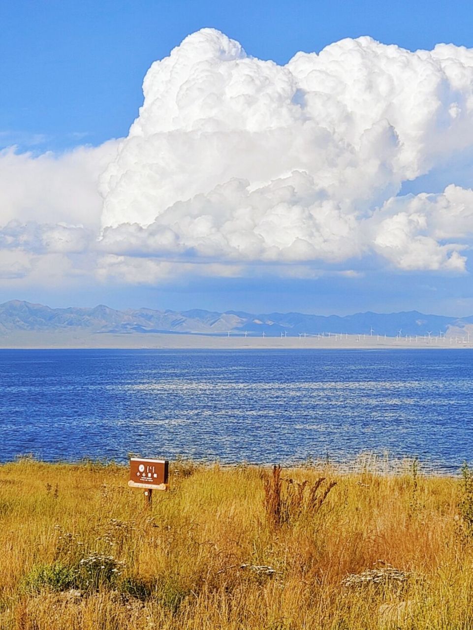修图工具:醒图 99适合场景:蓝天,山河湖海 …… 97滤镜:风景-沙漫