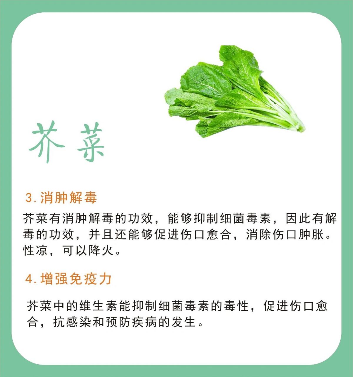 no.54 芥菜的功效