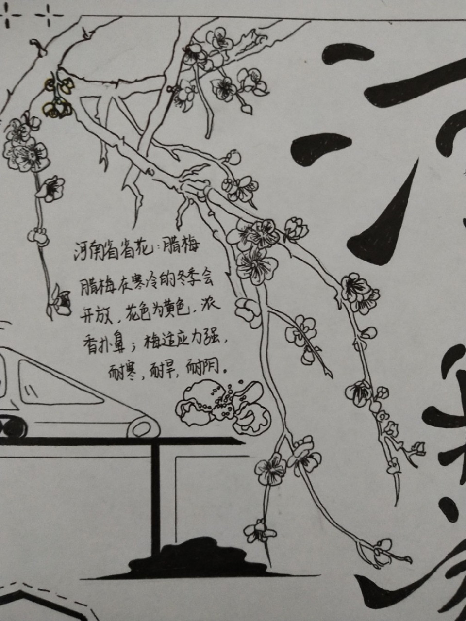 河南我的家乡手抄报 这次绝对清晰