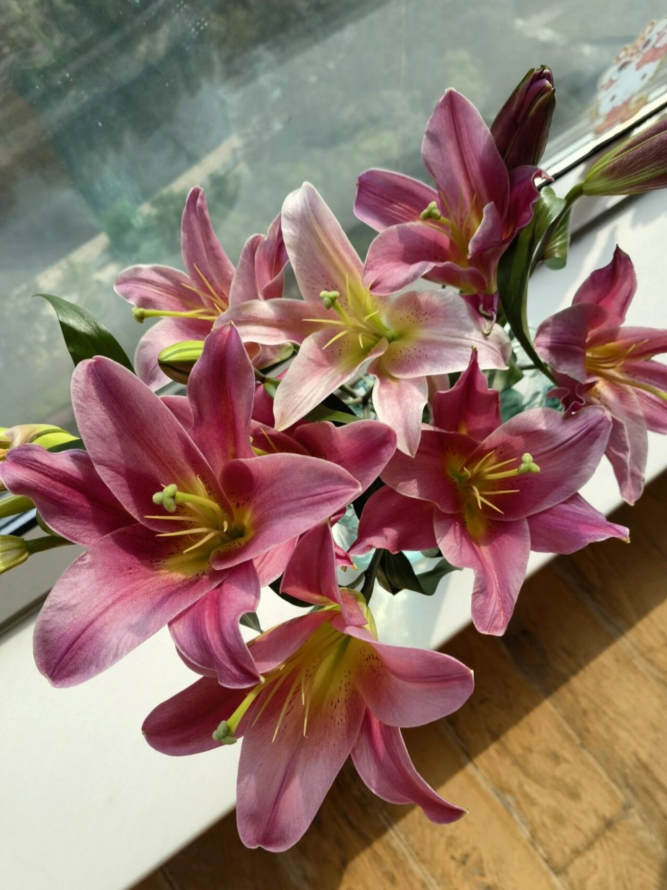 火石百合 可可爱爱的百合,深玫红色吧,香香的,养的时间也挺长的