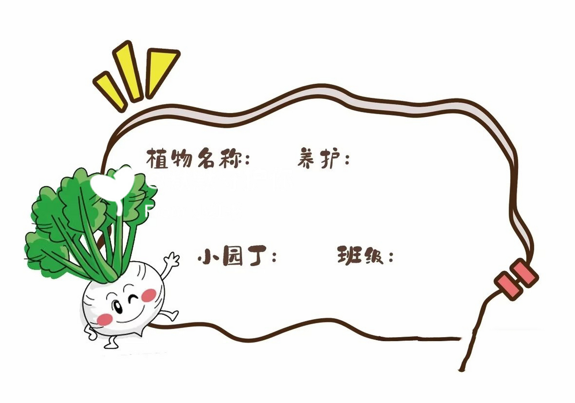 植物角植物标签