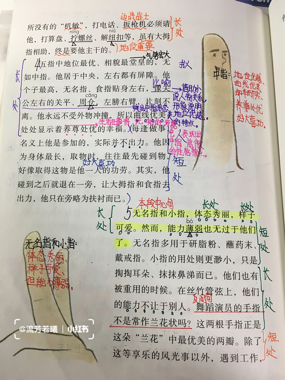 五年级下册第22课《手指》笔记