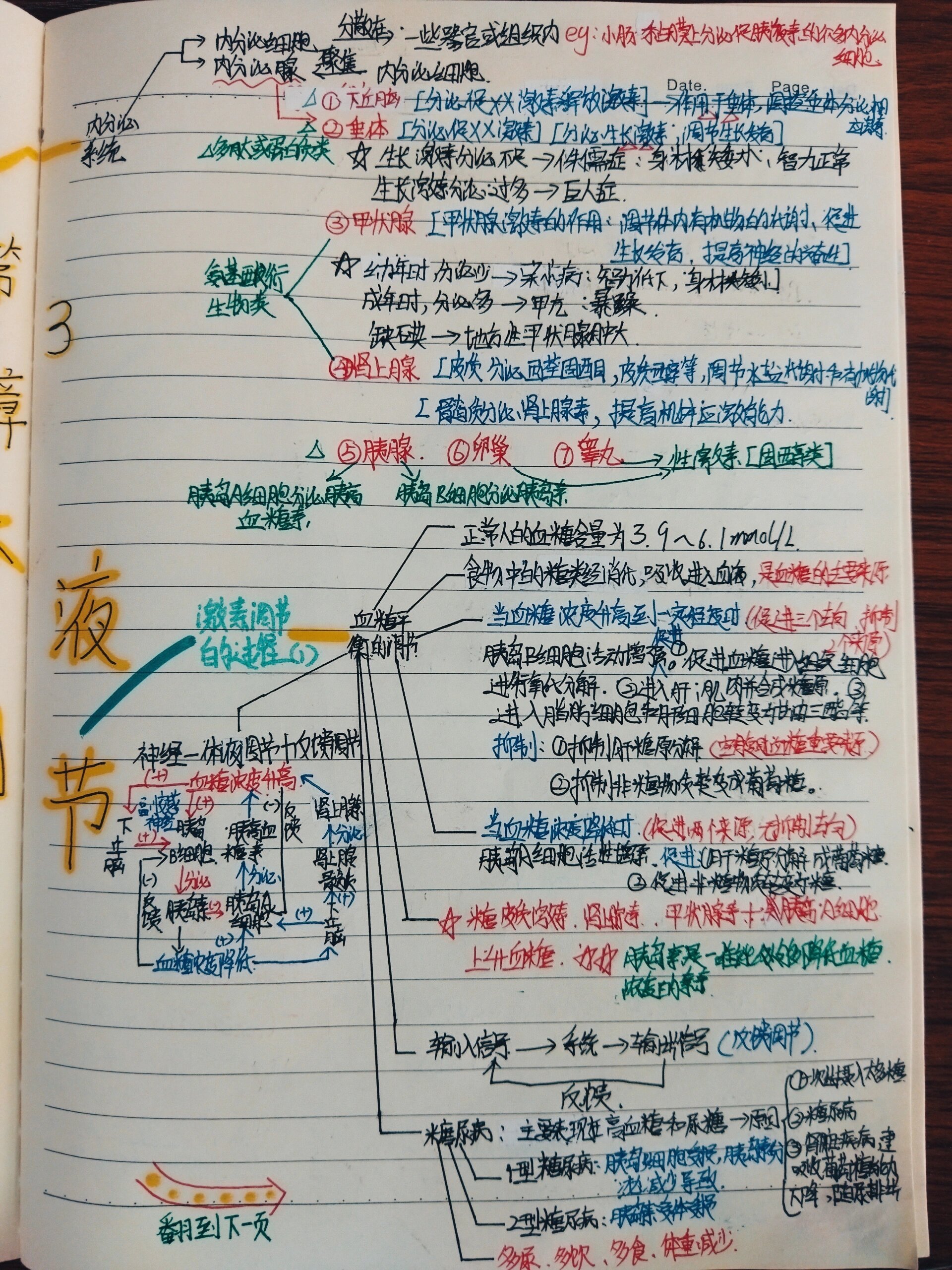 第三章体液调节思维图图片