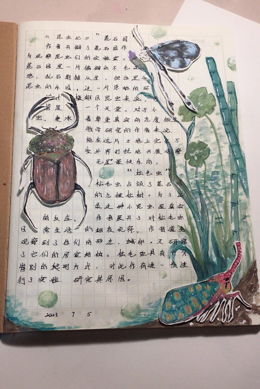 我的阅读笔记