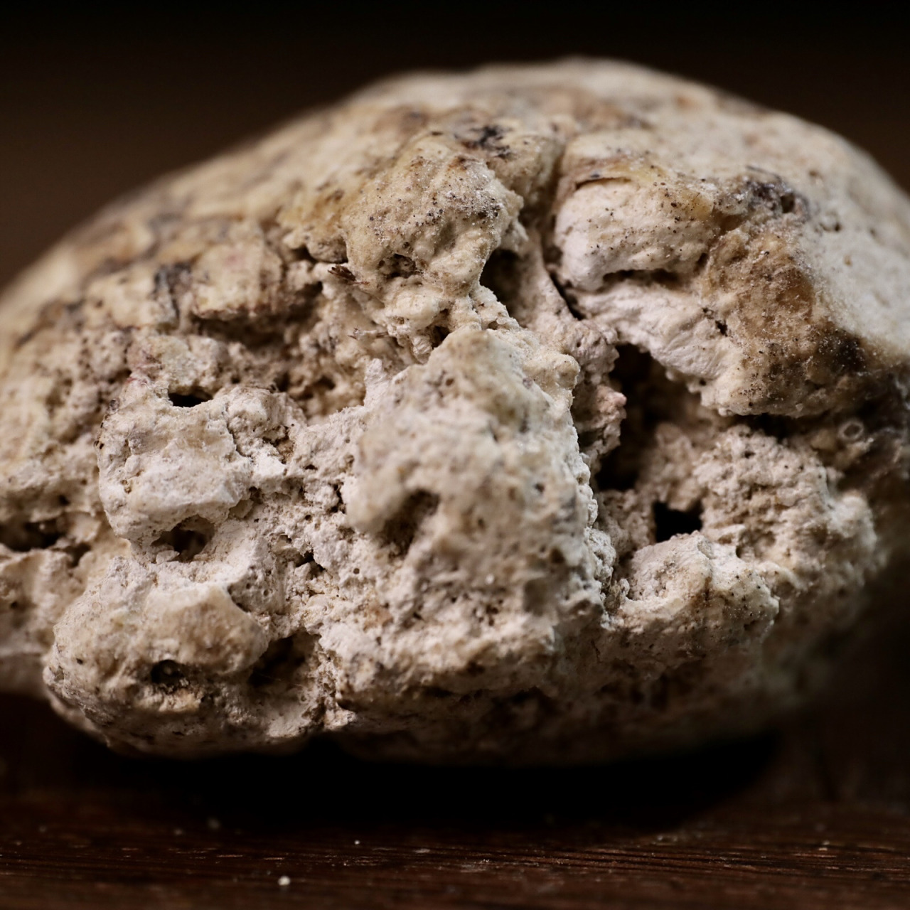 香材·龙涎香的真假分辨 龙涎香,从古至今都有一层神秘的色彩,在众多